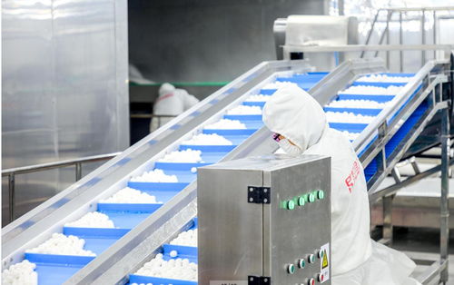 思念食品廠普工招聘 一份穩(wěn)定與溫度并存的職業(yè)選擇